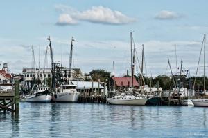 Faces And Places Of The Lowcountry